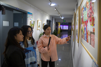 四川省第九届大学生艺术展演举行 350件书画摄影设计篆刻优秀作品亮相