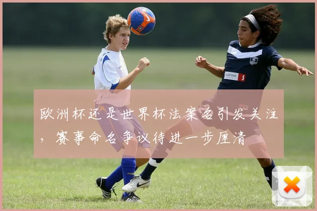 欧洲杯还是世界杯法案名引发关注，赛事命名争议待进一步厘清